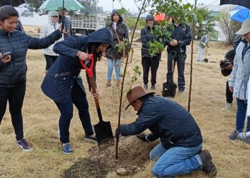 Vecinos de La Concepción Buenavista llevan a cabo reforestación en el Parque Central