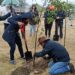 Vecinos de La Concepción Buenavista llevan a cabo reforestación en el Parque Central