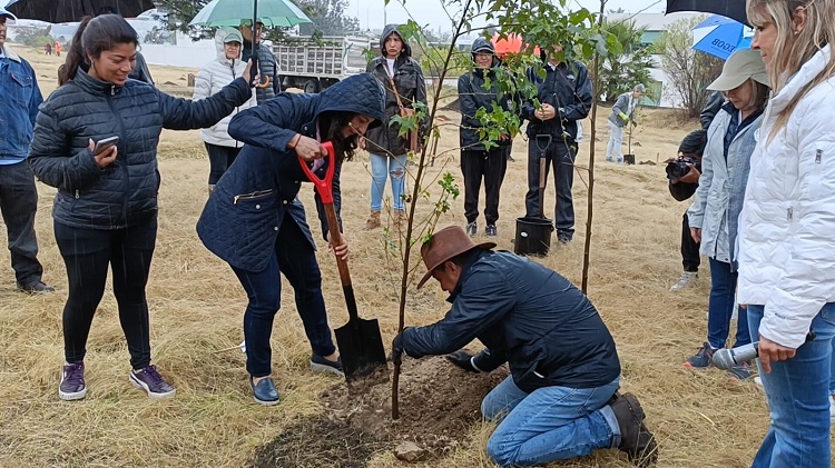 Vecinos de La Concepción Buenavista llevan a cabo reforestación en el Parque Central