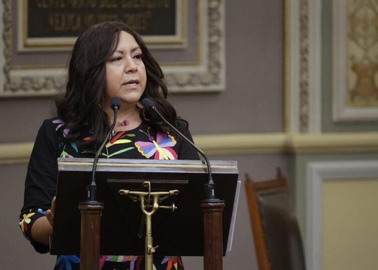 Gobierno de Puebla beneficia a 107 mil 824 personas productoras: SDR