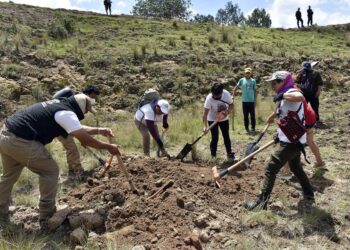 Comisión de Búsqueda coordina acciones de localización de personas en Pantepec