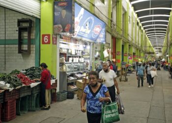 Colocarán plumas en accesos a la Central de Abasto para regular entrada