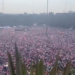 La Marcha por la Democracia
