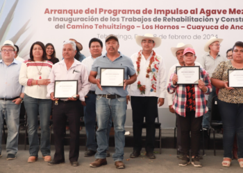 Gobernador inicia programa de impulso al agave mezcalero 2024
