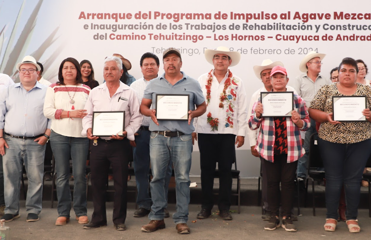 Gobernador inicia programa de impulso al agave mezcalero 2024