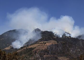 Más de 80 incendios forestales han afectado 370 hectáreas