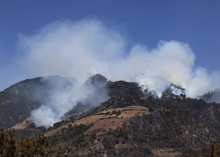 Más de 80 incendios forestales han afectado 370 hectáreas