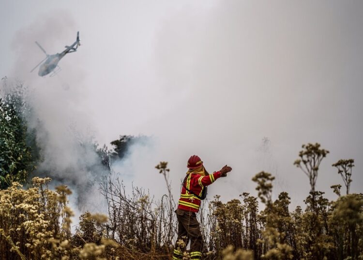 Incendios forestales en Chile dejan 131 fallecidos 