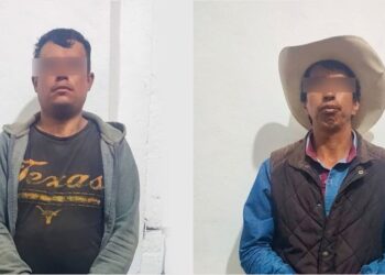SSP asegura camión con madera de procedencia ilícita en Tepetzintla