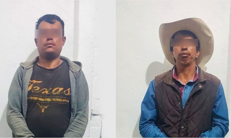 SSP asegura camión con madera de procedencia ilícita en Tepetzintla