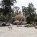 Benito repunta turismo en zona de Totimehuacán