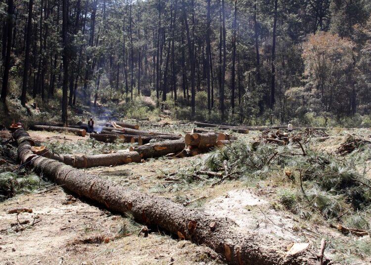 Talamontes matan a 3 personas y hieren a otra en Hueyacatitla