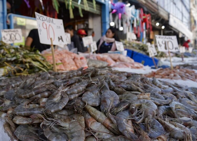 Ayuntamiento reforzará ordenamiento en zona de pescados y mariscos