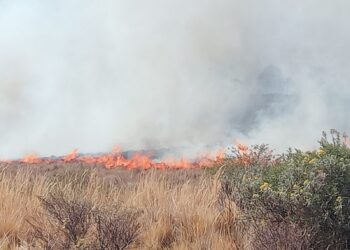 Fuerte incendio forestal en Ixtacamaxtitlan