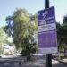 Parquímetros funcionarán con normalidad en Semana Santa