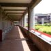 Presuntos casos de acoso son atendidos por la Defensoría de Derechos Universitarios: Ibero