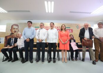 Reforma del 2013 convertía electricidad en mercancía en perjuicio de los mexicanos: Mier