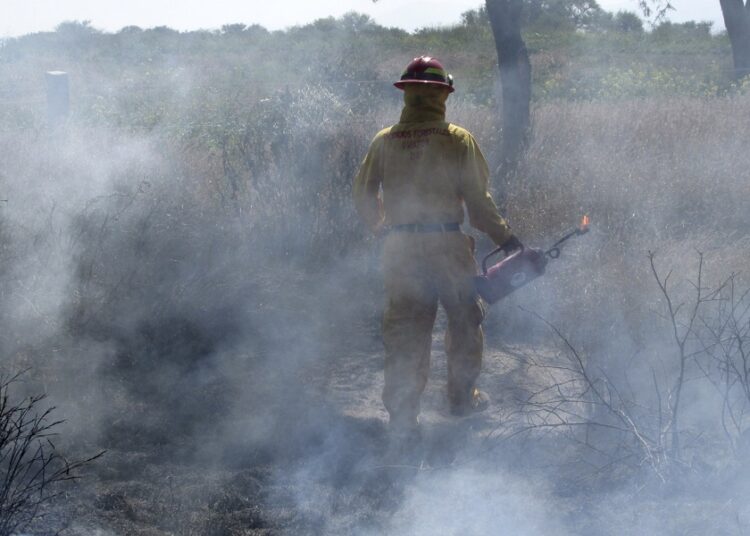 Incendios en pastizales y predios incrementaron 15%: PC Municipal