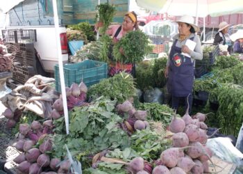 Proyecto de intervención en la Central de Abasto está cancelado