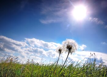 Hoy, 19 de marzo, es el equinoccio de primavera, será a las 9:06 pm