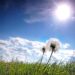Hoy, 19 de marzo, es el equinoccio de primavera, será a las 9:06 pm