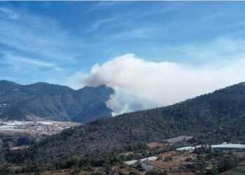 Brigadas combaten incendios forestales en Tetela de Ocampo y Coyomeapan