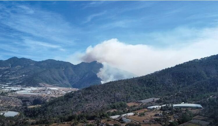 Brigadas combaten incendios forestales en Tetela de Ocampo y Coyomeapan