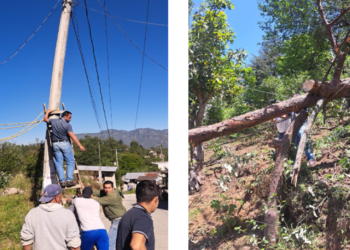 Fuertes vientos tiran árboles en Xiutetelco, PC atiende área afectada