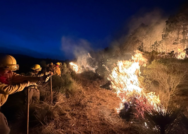 Por incendio, 70 hectáreas afectadas en Xiutetelco
