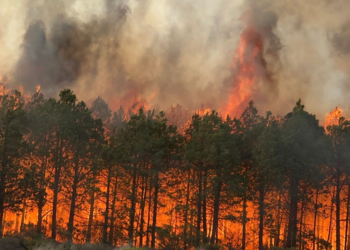Por incendio, 70 hectáreas afectadas en Xiutetelco