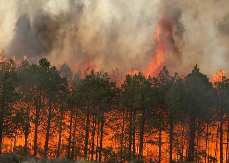 Por incendio, 70 hectáreas afectadas en Xiutetelco