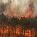 Por incendio, 70 hectáreas afectadas en Xiutetelco
