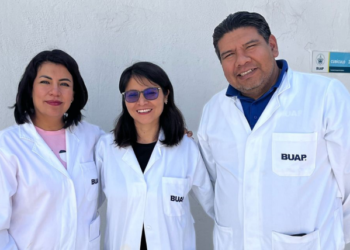 Con Matemáticas, investigadores BUAP buscan controlar plagas