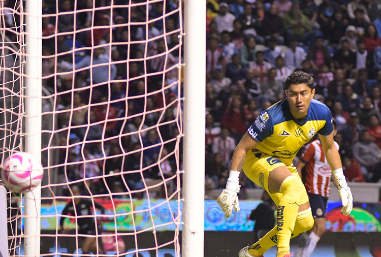 Aristeguieta reprocha abucheos sobre Araña Rodríguez