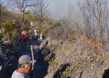 Combaten incendio forestal en Santa Inés Ahuatempan