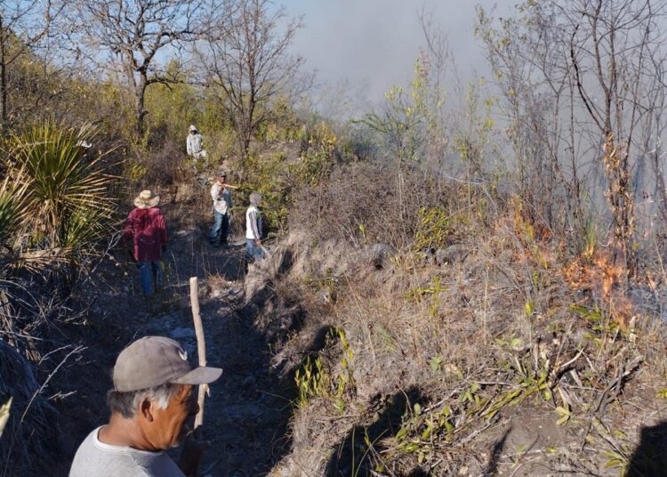 Combaten incendio forestal en Santa Inés Ahuatempan