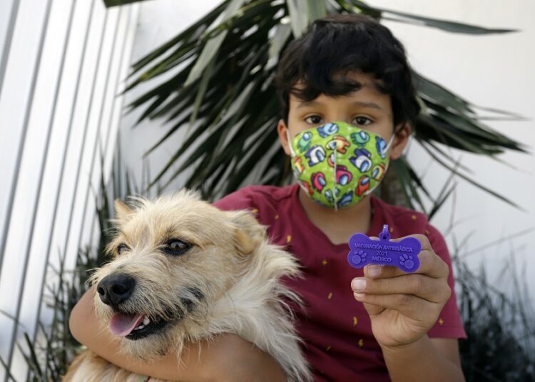 Inicia Jornada Nacional de Vacunación Antirrábica Canina y Felina