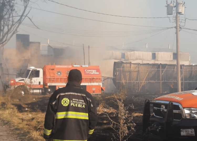 Incendios en San Lorenzo y CFE han sido liquidados