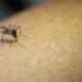 Atiende Secretaría de Salud a dos personas hospitalizadas por dengue