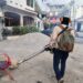 Reportan 7 casos de dengue