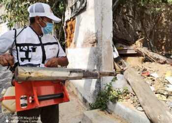 Reportan cero hospitalizaciones, defunciones y casos de dengue