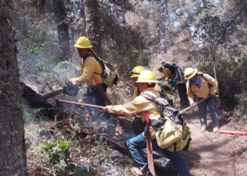 Fallecieron 2 voluntarios en el combate a incendios forestales