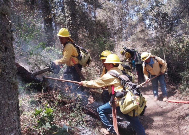 Fallecieron 2 voluntarios en el combate a incendios forestales