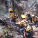 Fallecieron 2 voluntarios en el combate a incendios forestales