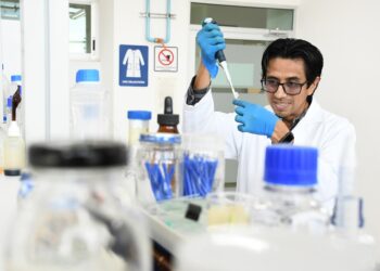 Estudian estrés de las plantas y el nuevo virus del jitomate