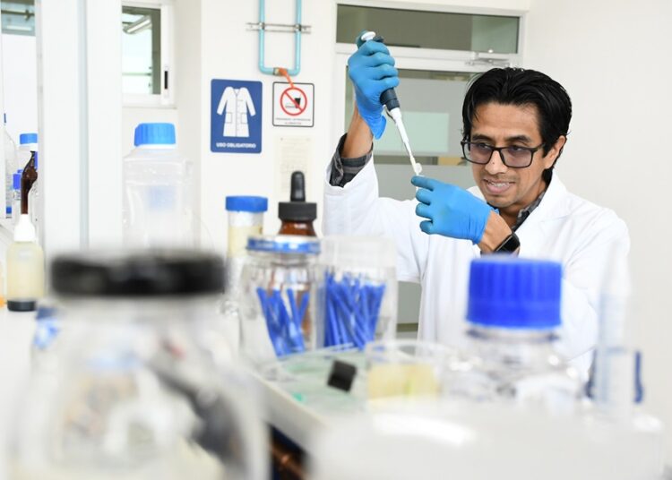Estudian estrés de las plantas y el nuevo virus del jitomate