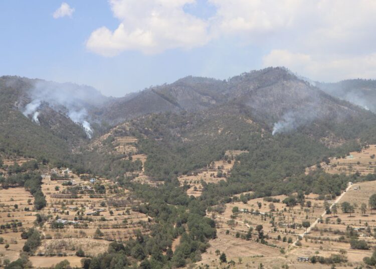 Ya está controlado el incendio forestal de Libres