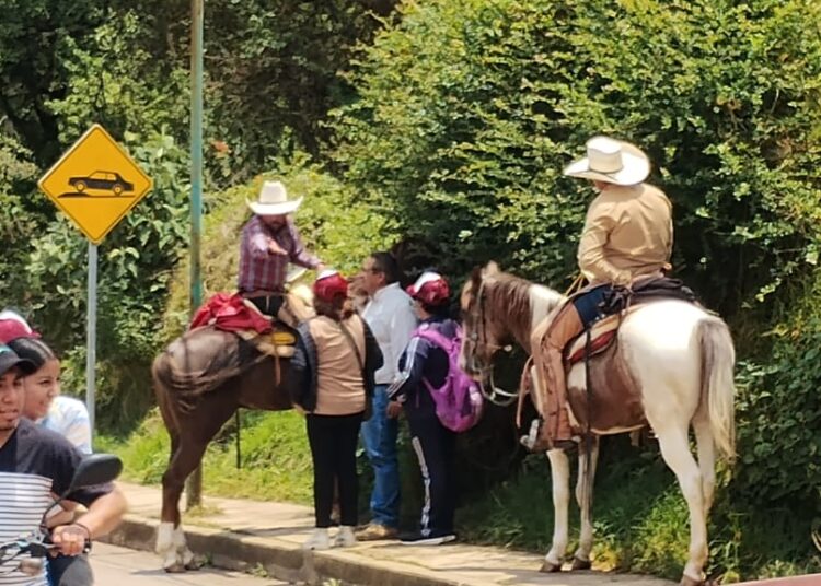 Agreden a brigadistas de Bety Sánchez en Zacatlán