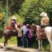 Agreden a brigadistas de Bety Sánchez en Zacatlán
