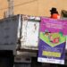Reportan 98 casos acumulados de dengue